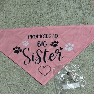 New In Package Promoted To Big Sister Pink Dog Bandana